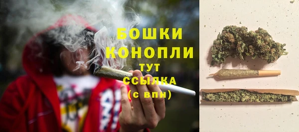 хмурый Дмитров