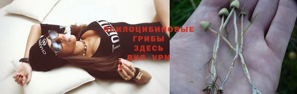бутират Дмитровск