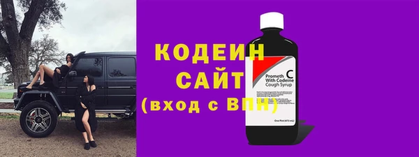 хмурый Дмитров