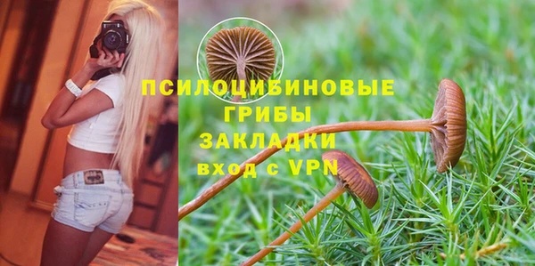 хмурый Дмитров