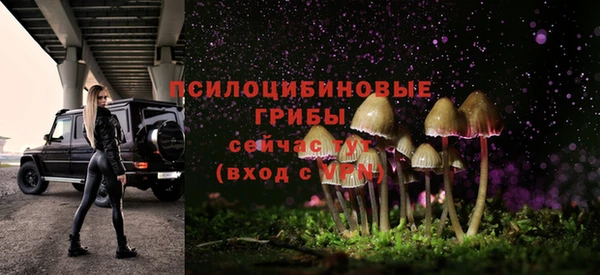 кристаллы Дмитриев