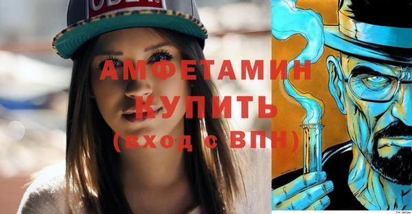 хмурый Дмитров