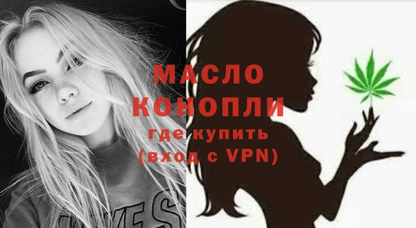 хмурый Дмитров